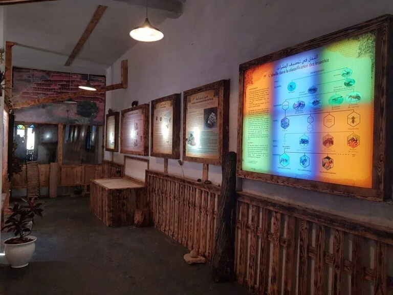 Musée de l'Abeille Vivante - photo 1